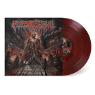 Vinyl record with a dark, artistic cover featuring a skeleton and text.