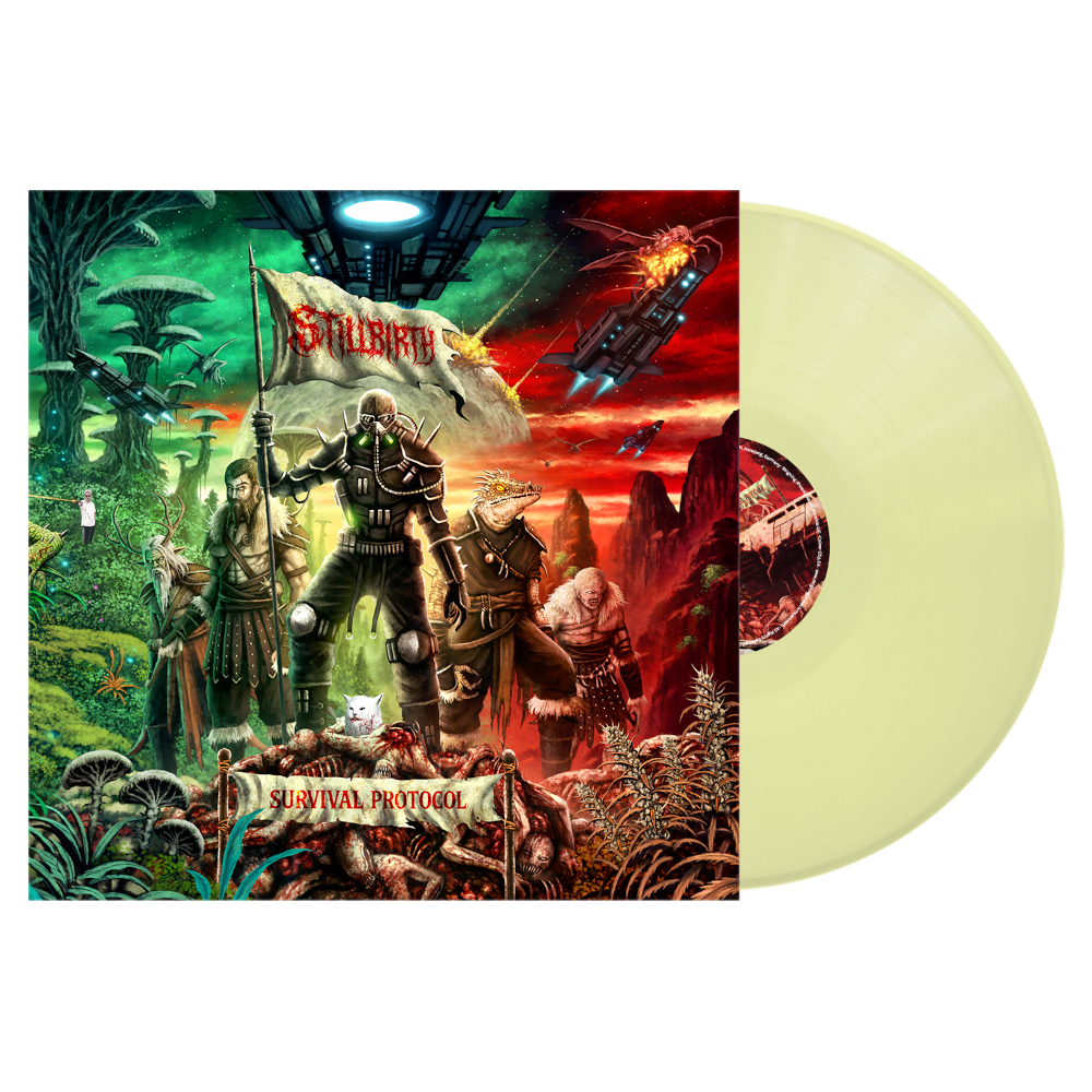 Vinyl record with a colorful cover featuring a fantasy scene